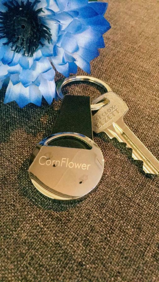Cornflower Apartment ハイデゥソボスロー エクステリア 写真